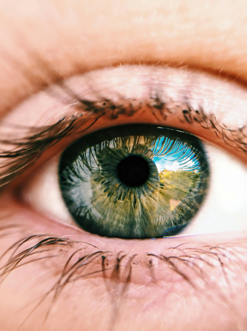 EMDR Therapy in Utah